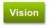 Vision