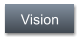 Vision
